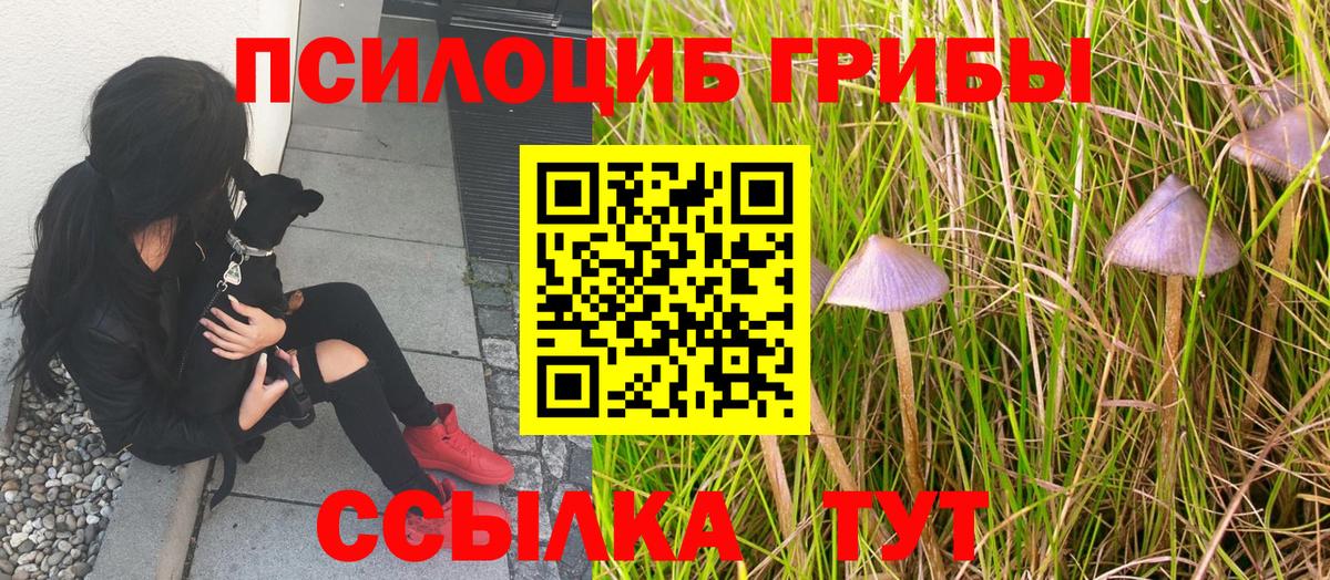 Галлюциногенные грибы ЛСД  Псилоцибиновые грибы прущие грибы  Вход с VPN  Югорск 